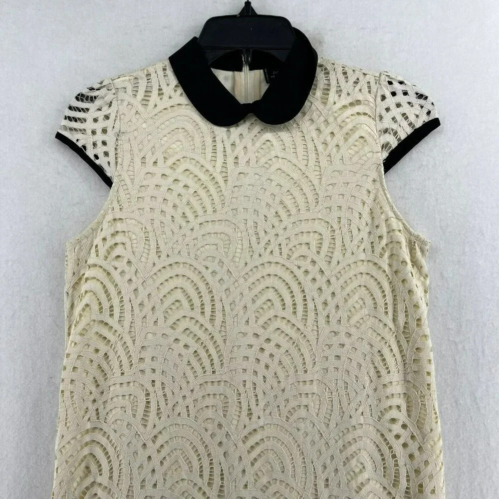 Zara Shift Dress Sz Small Beige Black Collar Short Sleeve High Neck Lace Lined - Picture 7 of 14